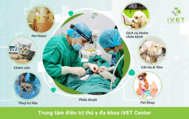 Đơn vị cung cấp dịch vụ thú y uy tín số #1 tại Việt Nam